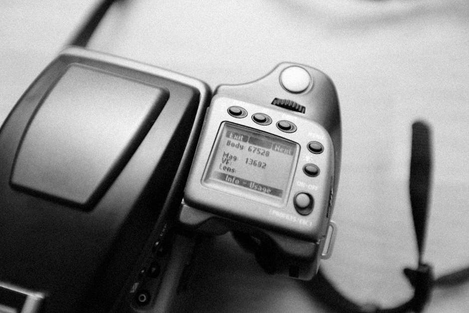 Курсы программирования